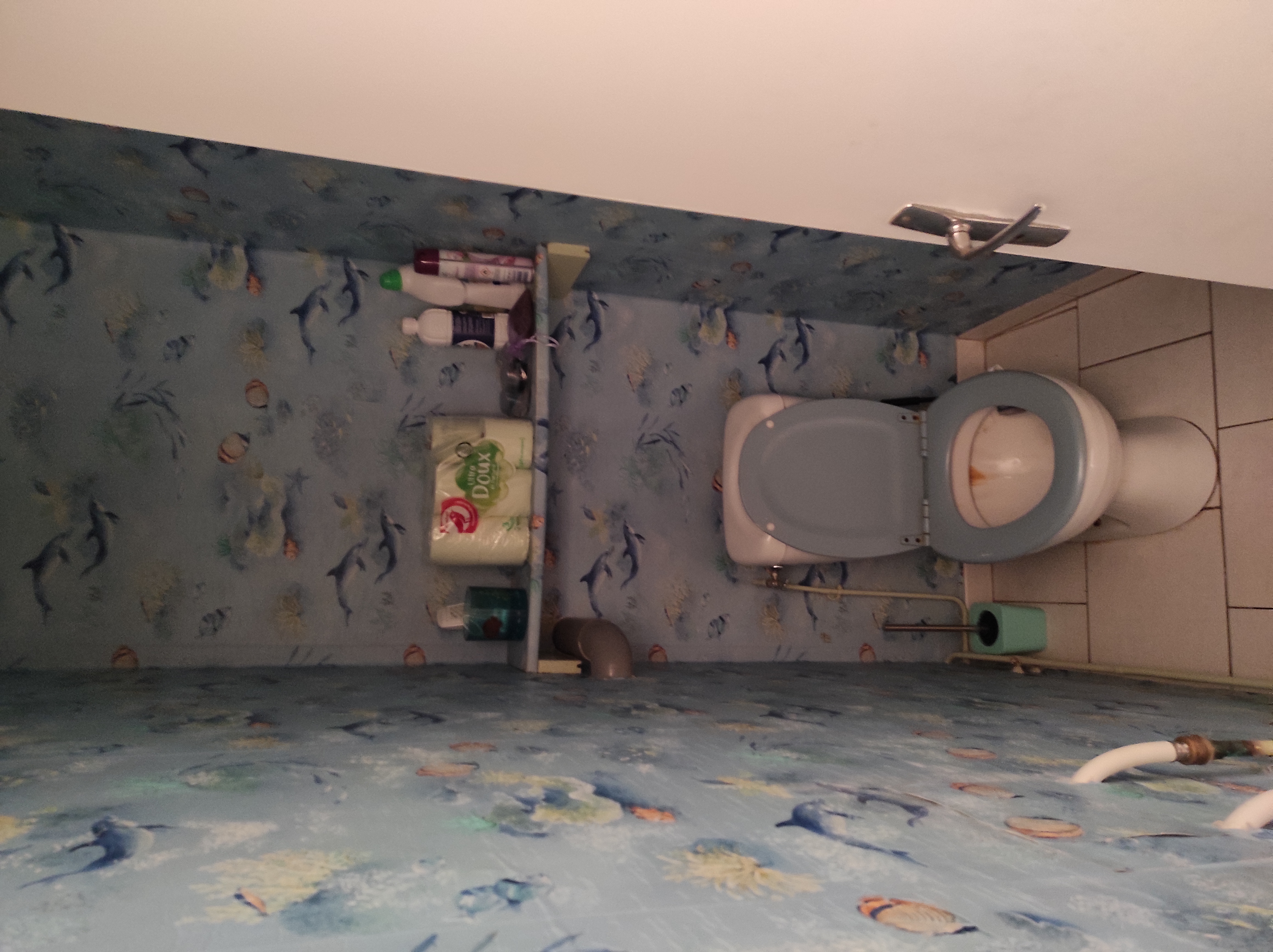 WC avant travaux